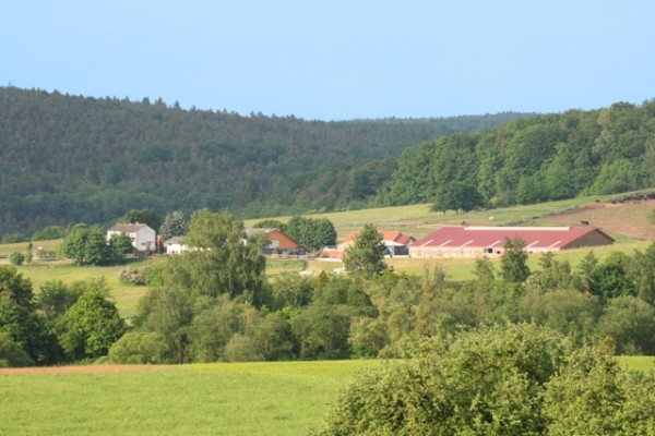 Gestüt Rollehof Gestüt Rollehof