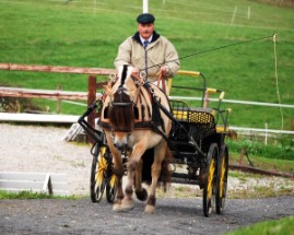 Fahrprüfung Fahrprüfung