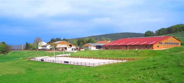 Gestüt Rollehof Gestüt Rollehof